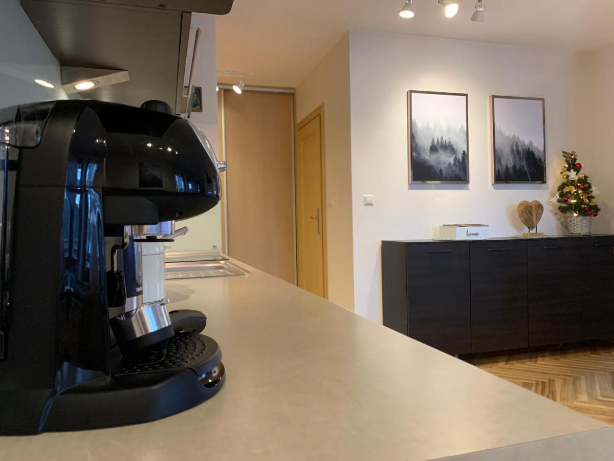 Apartament Goralka Ζακοπάνε Εξωτερικό φωτογραφία